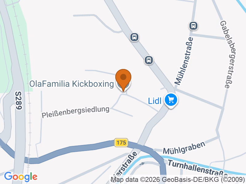 Posizione 08412 Werdau, Germania sulla mappa
